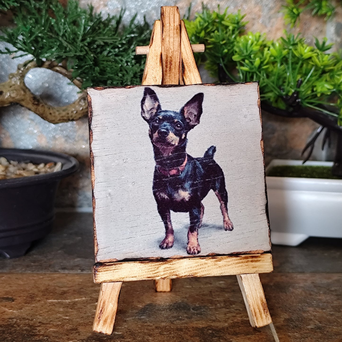 Mini Pinscher – Cuadro artesanal en madera