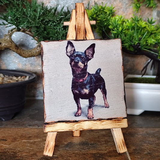 Mini Pinscher – Cuadro artesanal en madera